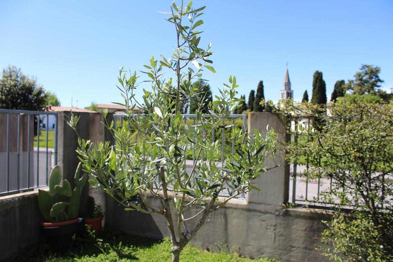 Villa Madi San Lorenzo (Friuli-Venezia Giulia) Exterior foto