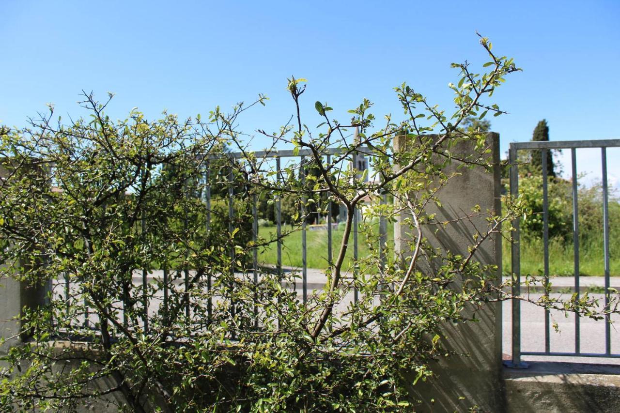 Villa Madi San Lorenzo (Friuli-Venezia Giulia) Exterior foto
